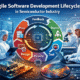 Agile Software Development Lifecycle in Semiconductor Industry